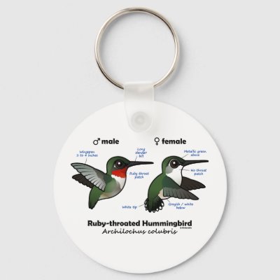 Ruby-throated Hummingbird Statistics Keychain