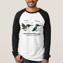 Ruby-throated Hummer Stats Men's Canvas Long Sleeve Raglan T-Shirt