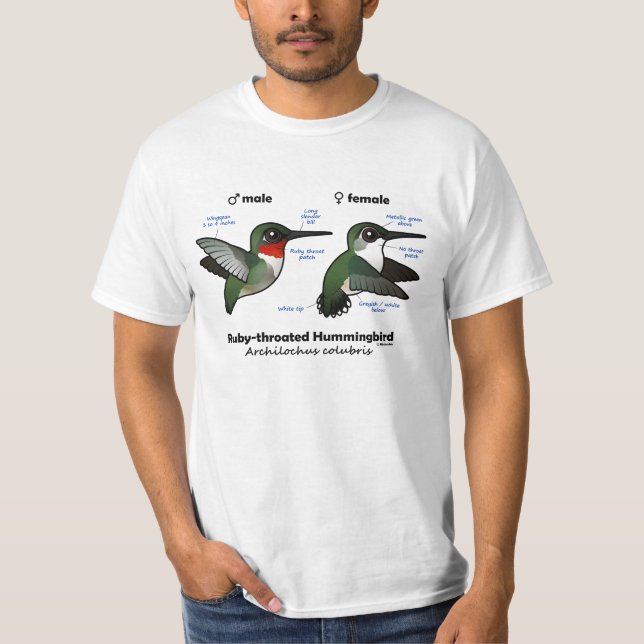 Ruby-throated Hummingbird Statistics T-Shirt (Front)