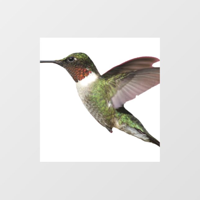 Ruby Throated Hummingbird Statuette (Front)