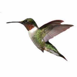 Ruby Throated Hummingbird Statuette