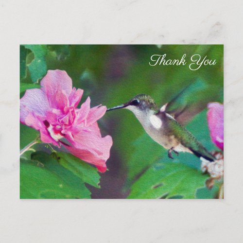 Ruby Throated Hummingbird Thank You Postcard