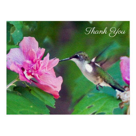 Ruby Throated Hummingbird Thank You Postcard | Zazzle.com