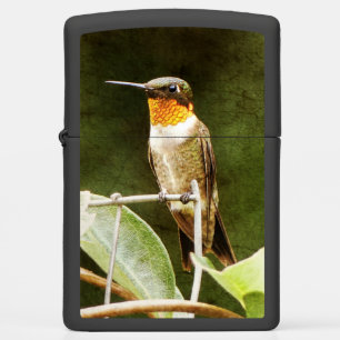 Ruby Throated Hummingbird Zippo Lighter