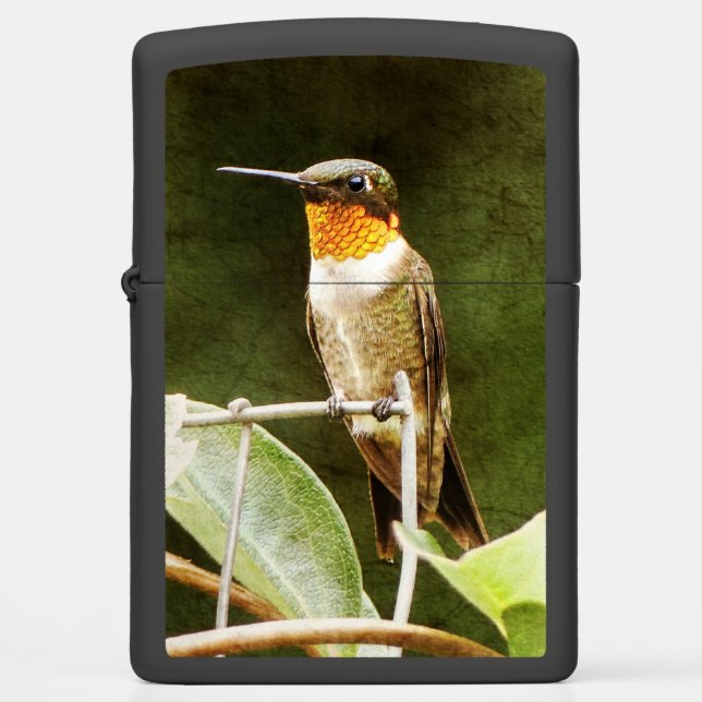 Ruby Throated Hummingbird Zippo Lighter (Front)