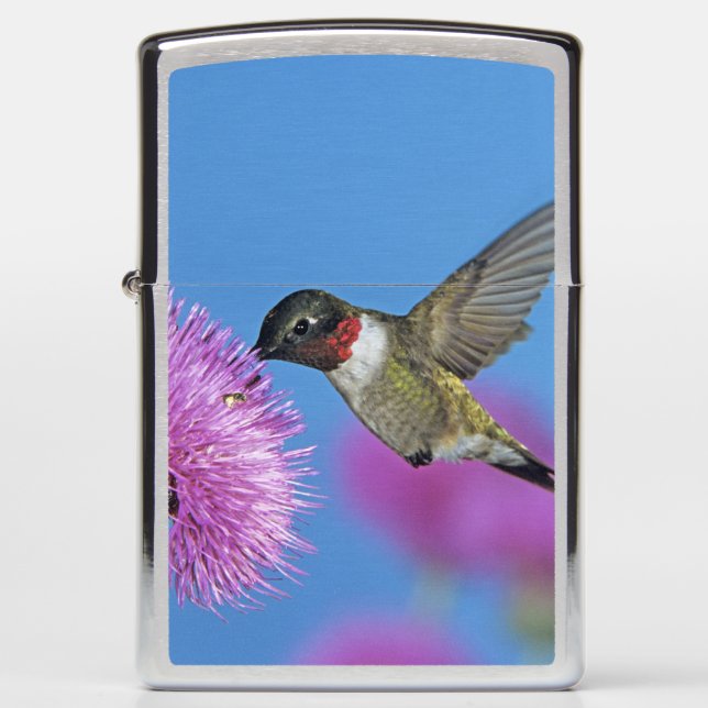 Ruby-throated Hummingbird Zippo Lighter (Front)