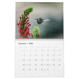 Ruby Throated Hummingbirds Calendar