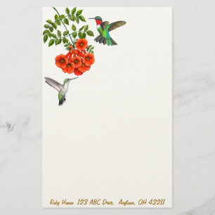 Ruby Throated Hummingbirds in Red Trumpet Vines St Stationery