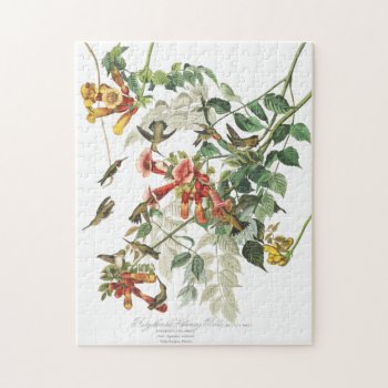 Ruby Throated Hummingbirds On Trumpet Flowers Jigsaw Puzzle by FalconsEye at Zazzle