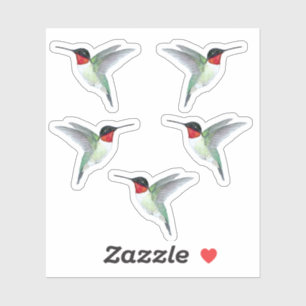 Ruby-throated Hummingbirds Sticker