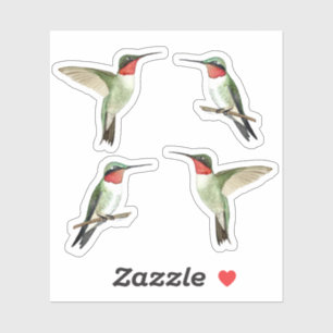 Ruby-throated Hummingbirds Sticker