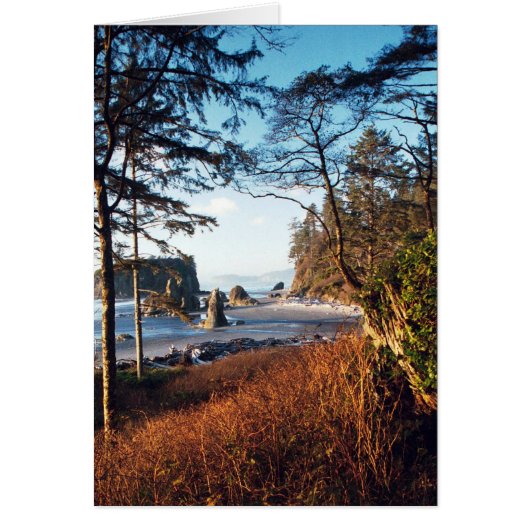 RubyBeach Cards (Front)