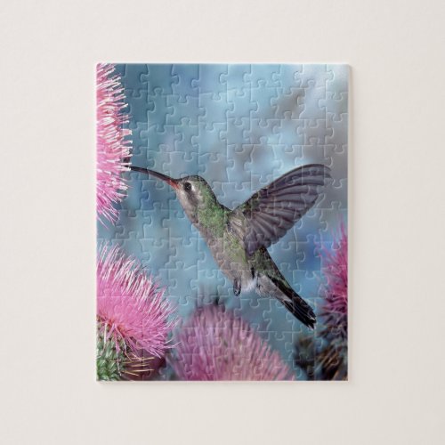 Rubythroat Hummingbird Jigsaw Puzzle