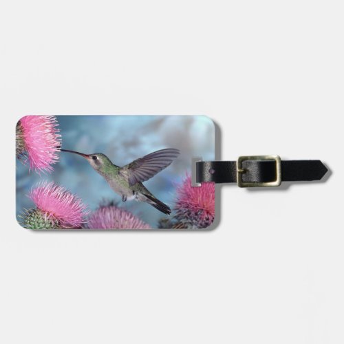 Rubythroat Hummingbird Luggage Tag