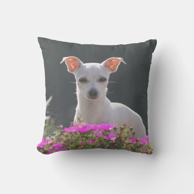 Ruca Throw Pillow (Front)