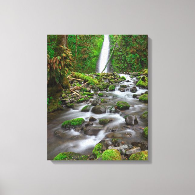 Ruckel Creek Falls, Columbia River Gorge Oregon Canvas Print (Front)
