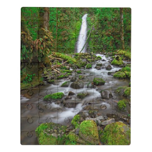 Ruckel Creek Falls Columbia River Gorge Oregon Jigsaw Puzzle