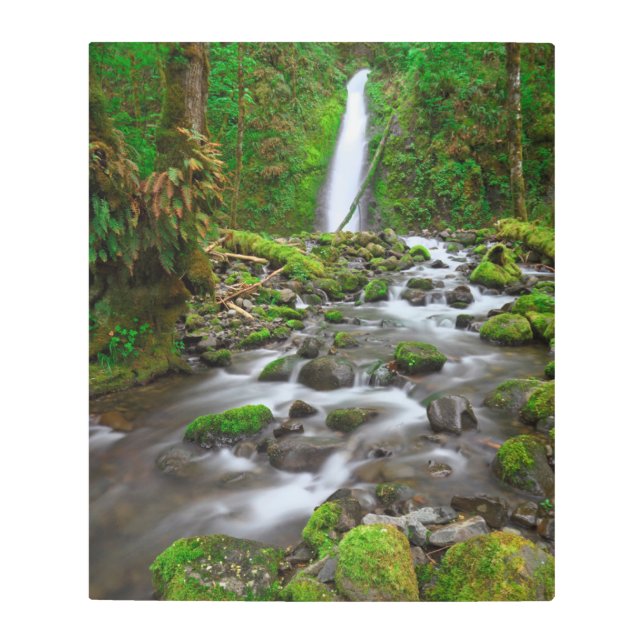 Ruckel Creek Falls, Columbia River Gorge Oregon Metal Print (Front)