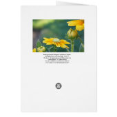 Rudbeckia, Blank Cards (Back)