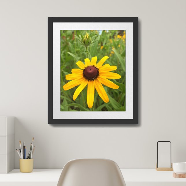 Rudbeckia Blossom and Bud Close-Up Photograph Framed Art (Home Office)