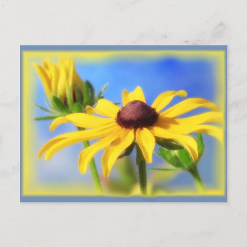 Rudbeckia Blues _ Vignette Postcard