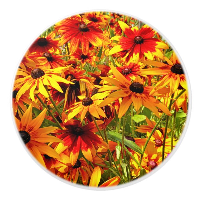 RUDBECKIA FLOWERS   CERAMIC KNOB (Front)