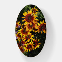 Rudbeckia