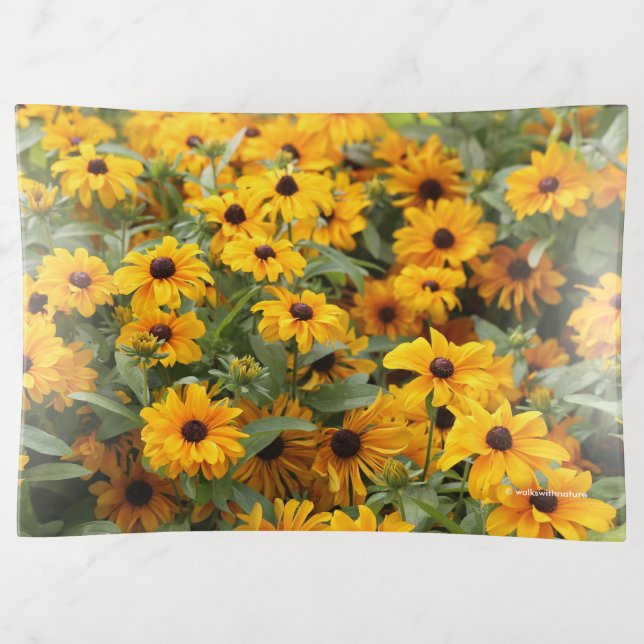 Rudbeckias / A Bed of Black-Eyed Susans Trinket Tray (Front)