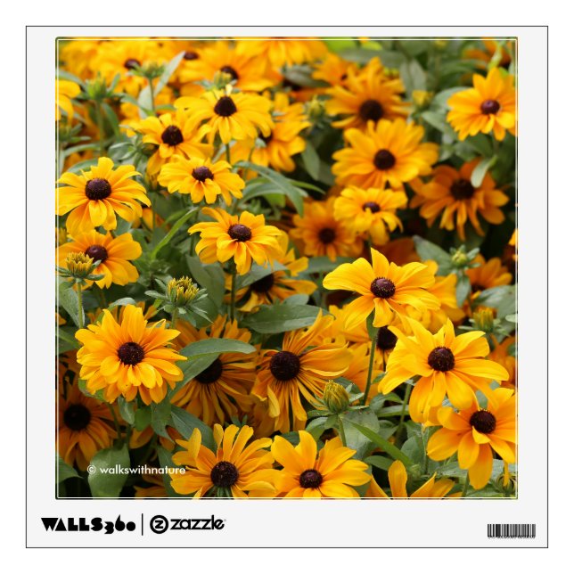 Rudbeckias / A Bed of Black-Eyed Susans Wall Sticker (Front)