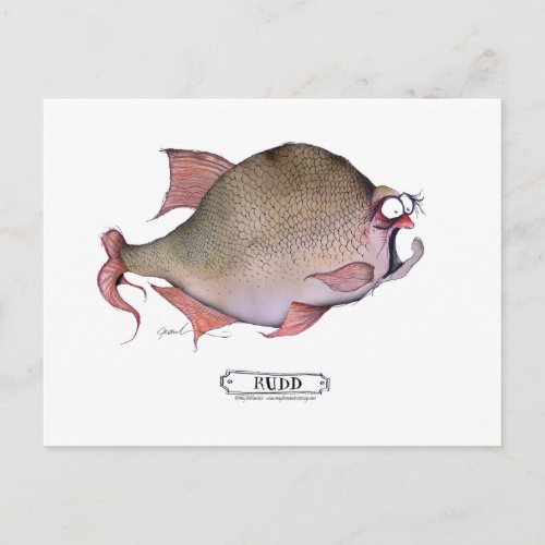 Rudd fish tony fernandes postcard