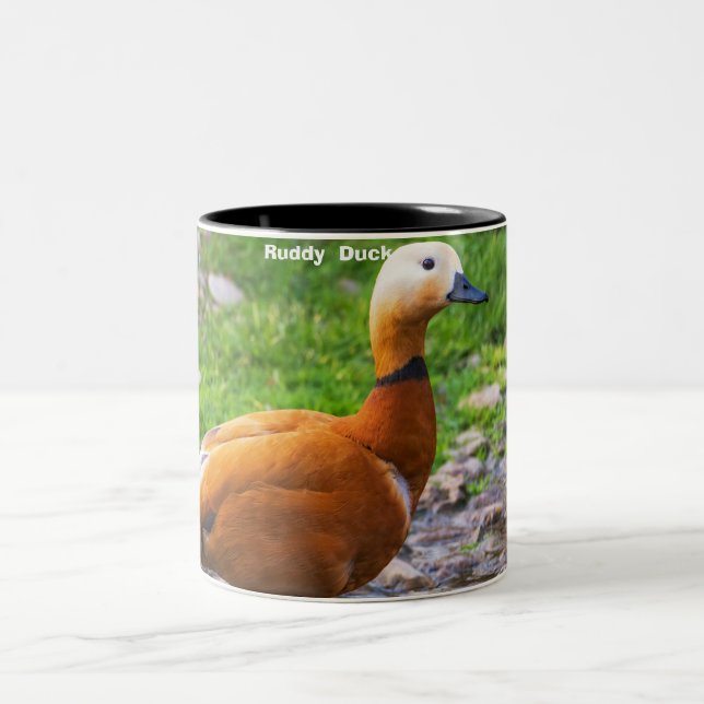 Ruddy  Duck Two-Tone Coffee Mug (Center)