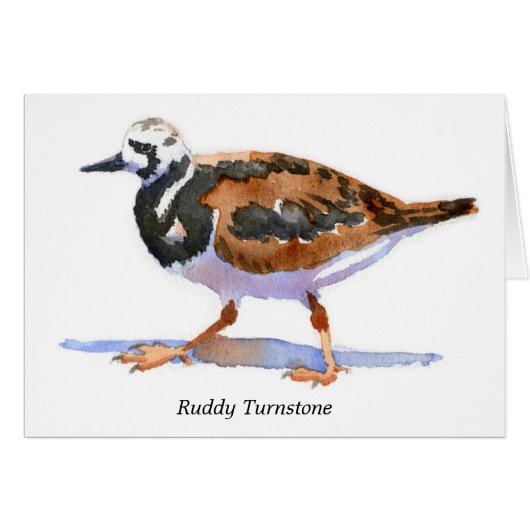 Ruddy Turnstone Cards (Front Horizontal)
