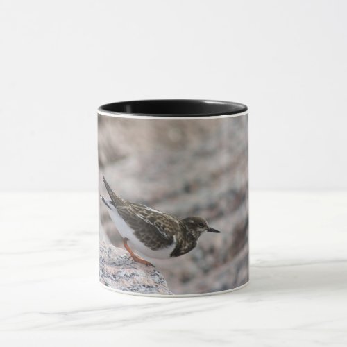 Ruddy turnstone coffee mug