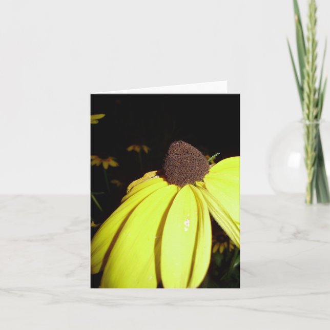 Rudebekia notecard (Front)