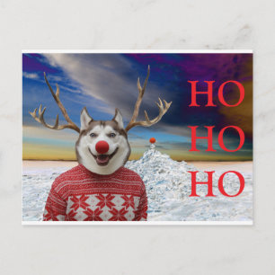 Rudolf the Sibe Postcard
