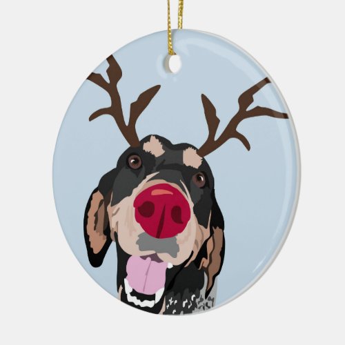 Rudolph Bluetick Coonhound  Ornament