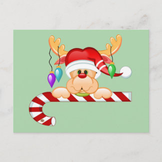 Rudy Candy Cane Postcard
