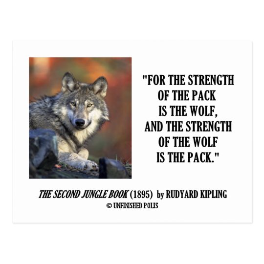 Rudyard Kipling Strength Of The Pack Wolf Quote Postcard Zazzle Com