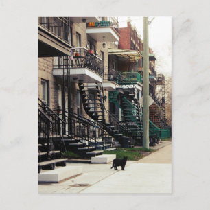 Rue la fontaine postcard