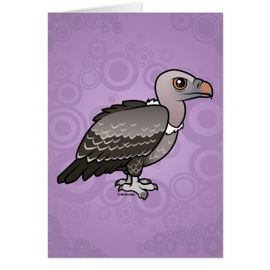 Rueppell's Vulture Cards (Front)