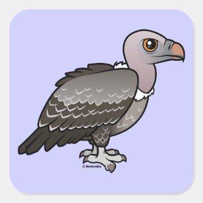Rueppell's Vulture Square Sticker