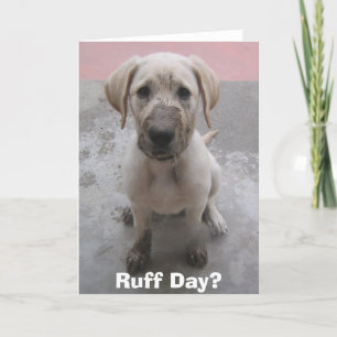 Ruff Day? Card