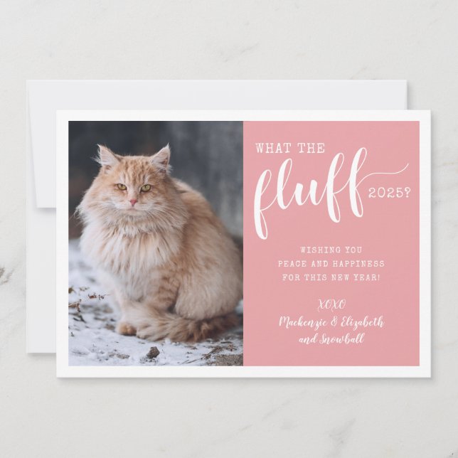 Ruff Year 2025 What the Fluff Funny Cat Photo Holiday Card (Front)