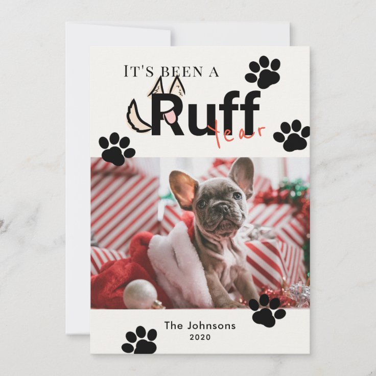 Christmas ruff for dog