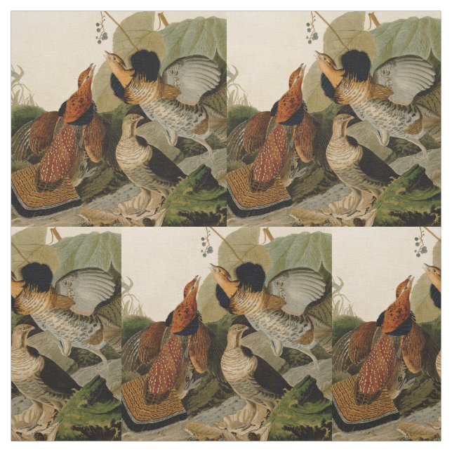 Ruffed Grouse Audubon Game Bird Fabric (Swatch)