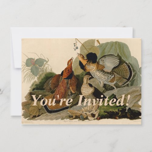 Ruffed Grouse Audubon Game Bird Invitation