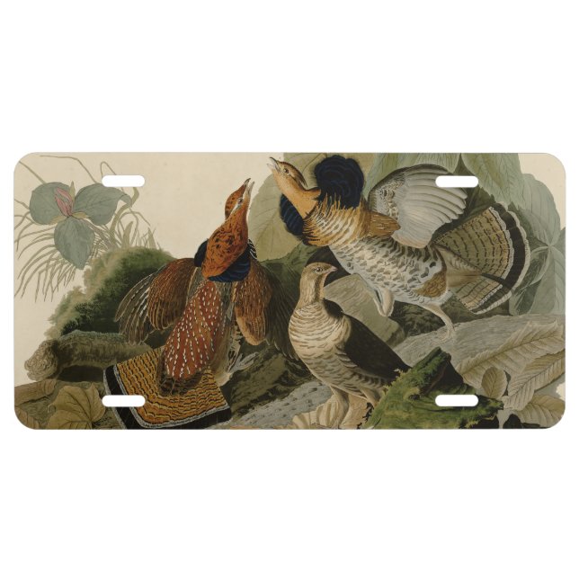 Ruffed Grouse Audubon Game Bird License Plate (Front)