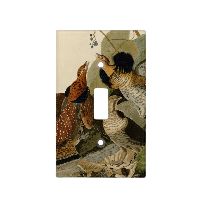 Ruffed Grouse Audubon Game Bird Light Switch Cover (Front)