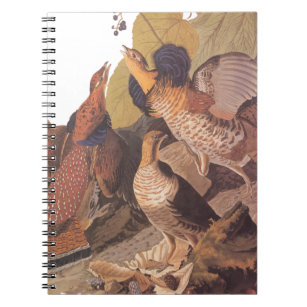 Ruffed Grouse Audubon Game Bird Notebook