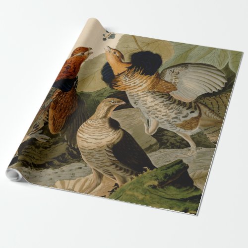 Ruffed Grouse Audubon Game Bird Wrapping Paper